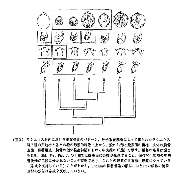 学位論文要旨詳細