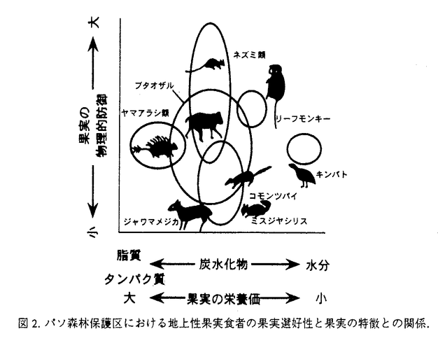 学位論文要旨詳細